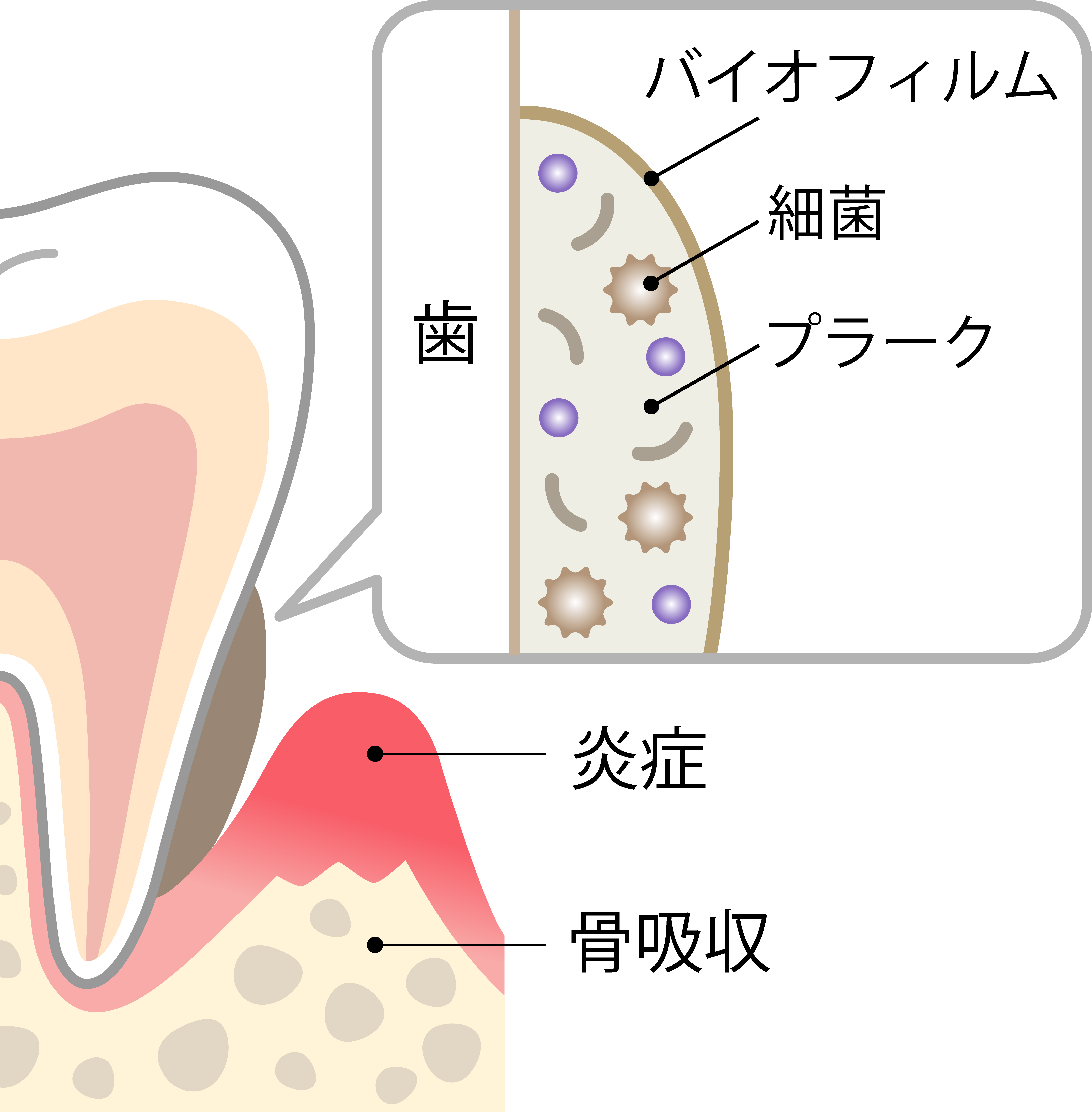 よく噛んで食事を楽しんでいますか